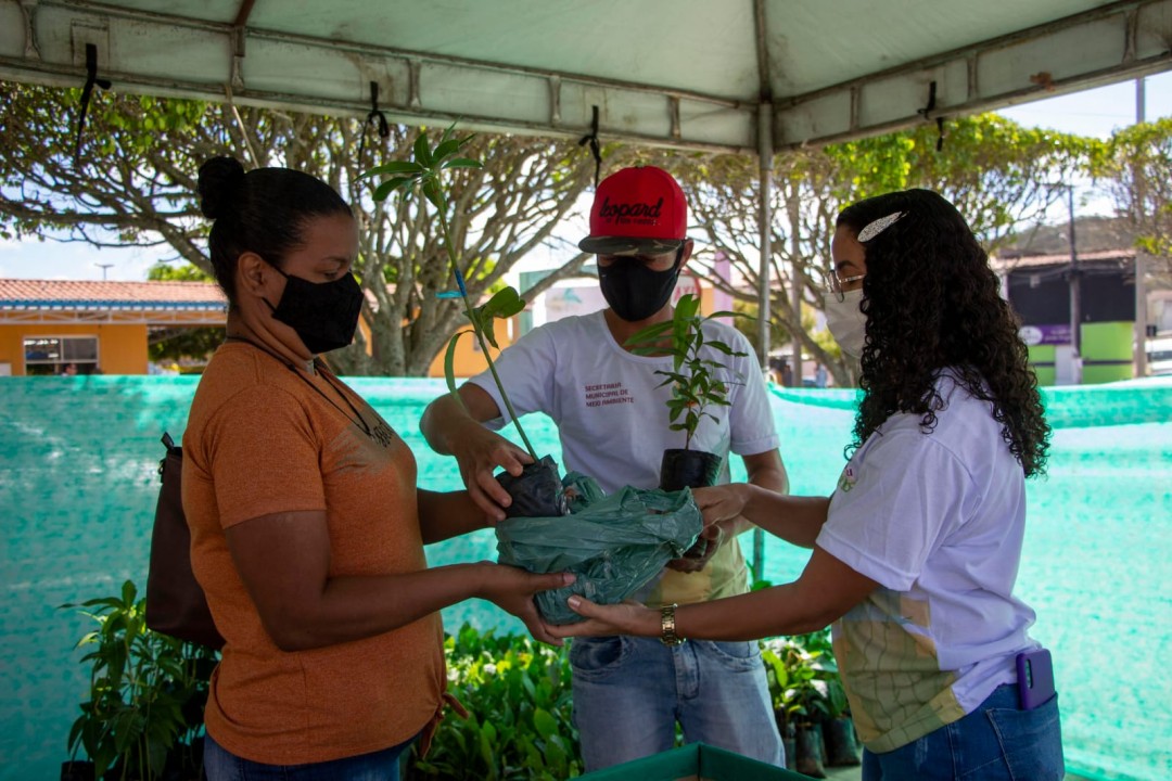 No Dia da Árvore Secretaria de Meio Ambiente promove campanha que une amor ao próximo e consciência ambiental