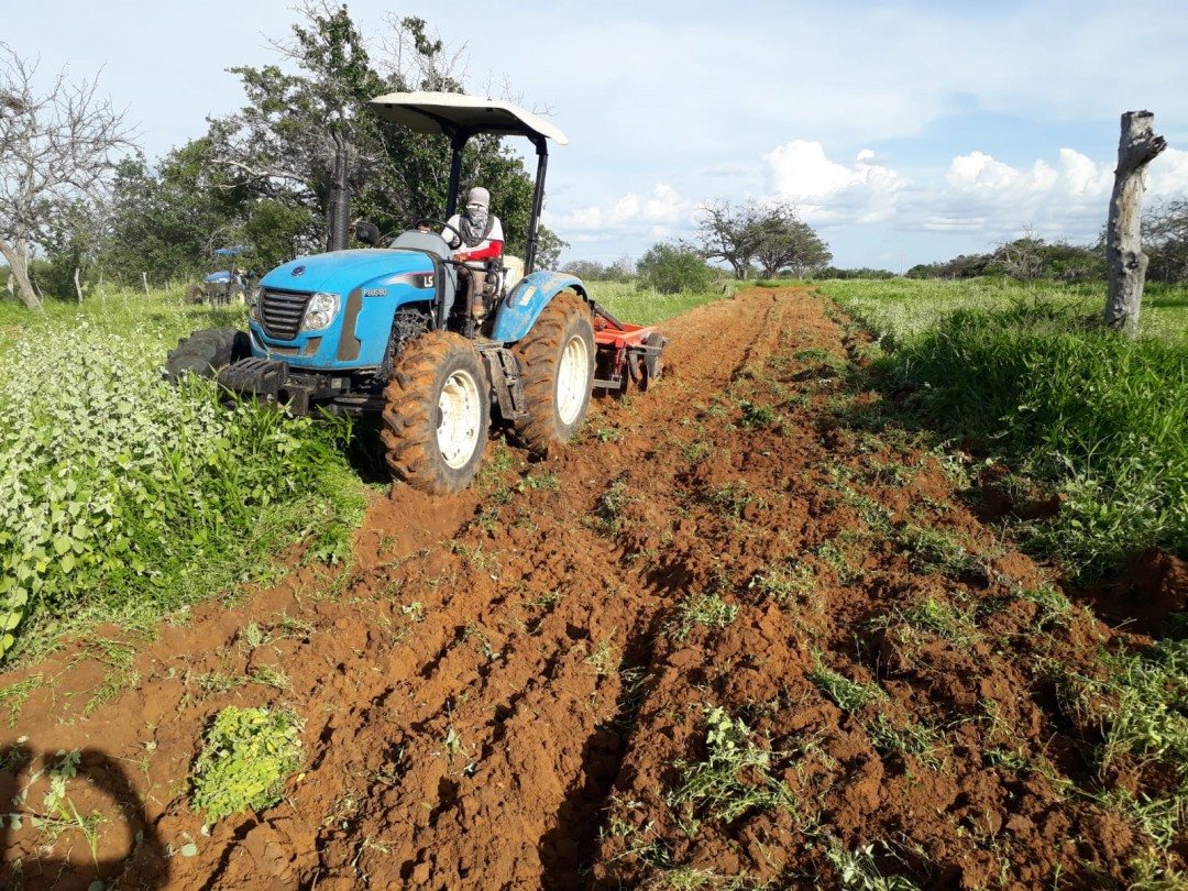 Agricultores de Angico, Pau Ferro, Lajinha, Baraúnas e Lajedo III são contemplados com o Programa de Aração de Terras