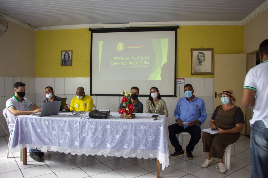 Programa de Fortalecimento da Caprinovinocultura começa a ser desenvolvido em Jaguarari