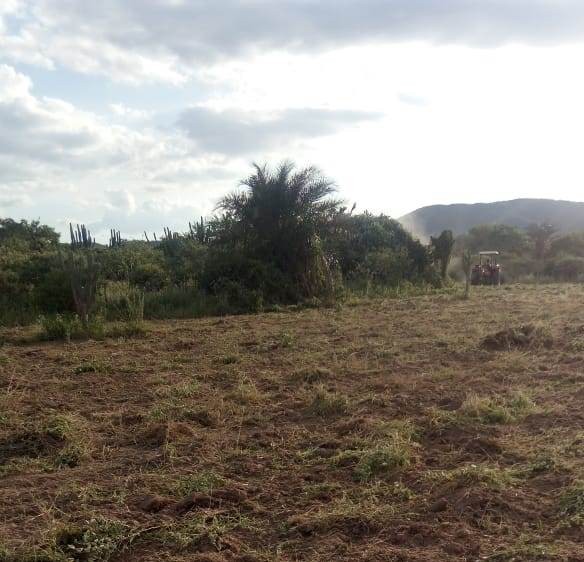 Quase 300 famílias da zona rural de Jaguarari já foram  beneficiadas pelo Programa de Aração de Terras/Safra Inverno