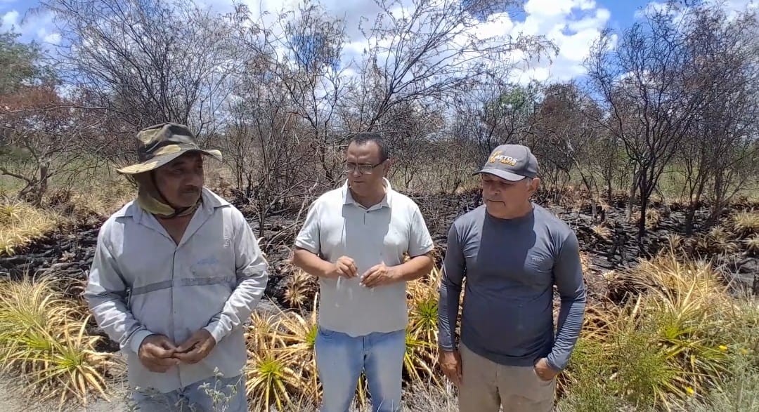 Secretaria de Meio Ambiente de Jaguarari investiga denúncia de crime ambiental na região de Fundo e Fecho de Pasto de Ocorrência