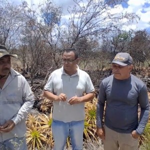 Secretaria de Meio Ambiente de Jaguarari investiga denúncia de crime ambiental na região de Fundo e Fecho de Pasto de Ocorrência