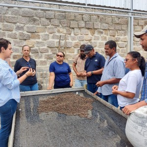 Produtores de cafés especiais de Jaguarari participam de curso voltado à colheita e à pós-colheita do fruto